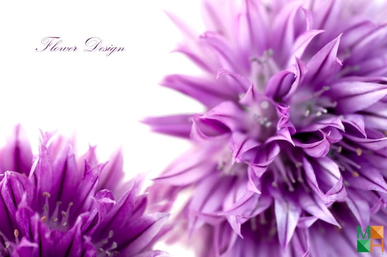 Tranh dán tường phòng ngủ đẹp tại Hà Nội FW - 031